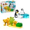 Lego® Duplo - Famílias de Animais Selvagens: Pinguins e Leões 10442