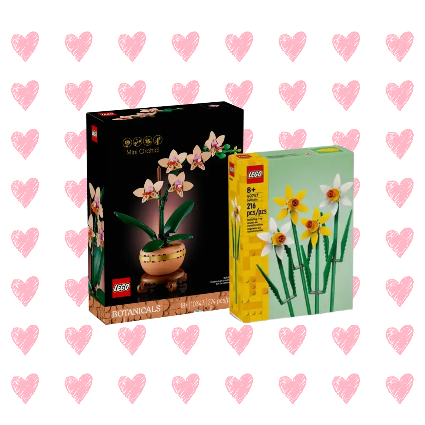 Dia dos Namorados: Pack de Flores Daffodils e Orquídea em Miniatura